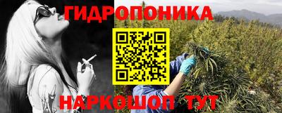 spice Кунгур