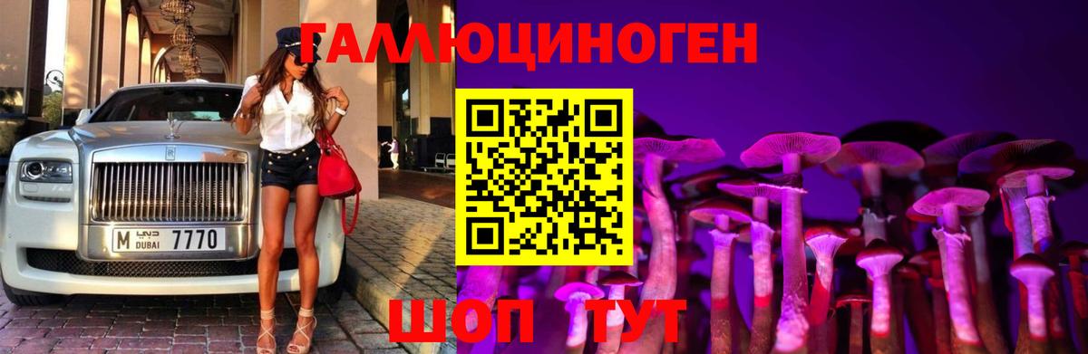 Ишим  продажа наркотиков  Вход с VPN  Галлюциногенные грибы Cubensis 