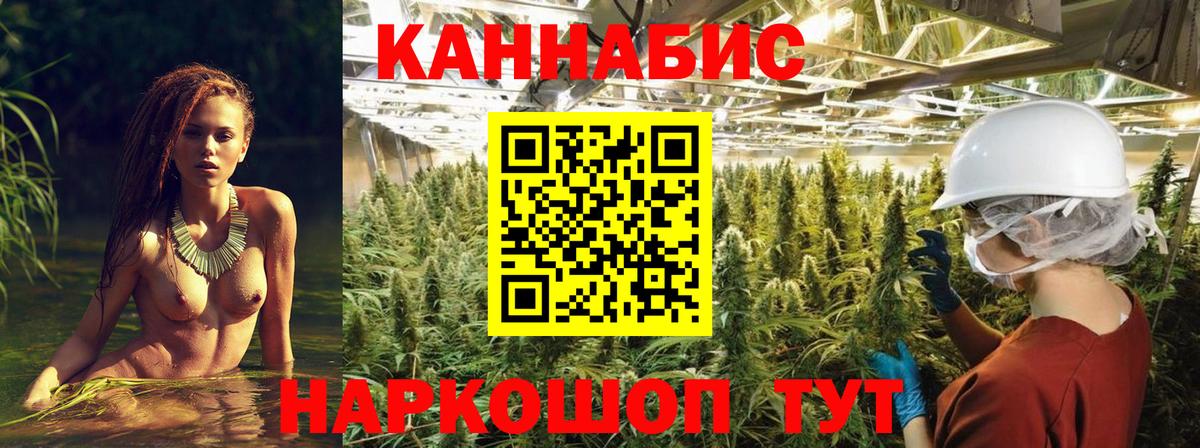МАРИХУАНА Amnesia  Вход с VPN  Шишки марихуана Ganja  Ишим  Конопля THC 21%  Бошки Шишки SATIVA & INDICA 